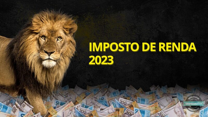 Como Declarar Poupança no Imposto de Renda 2023: Guia Completo