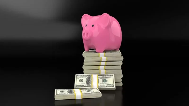 Serasa: entenda o que é e como limpar o seu nome nesta guia